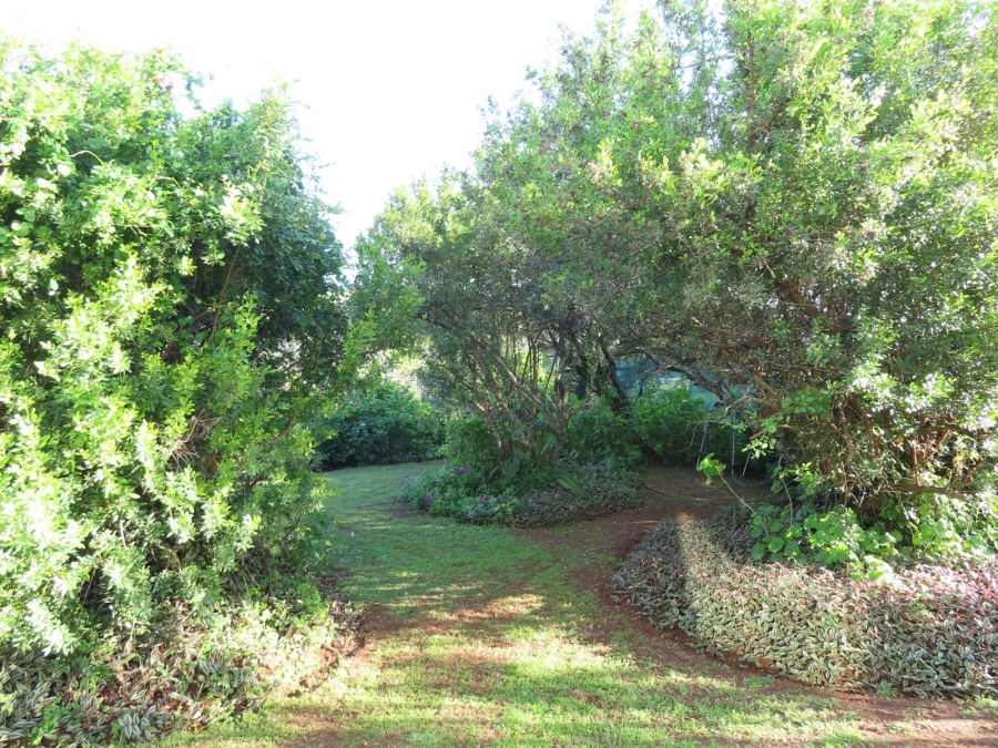 2 Bedroom Property for Sale in Bathurst Eastern Cape